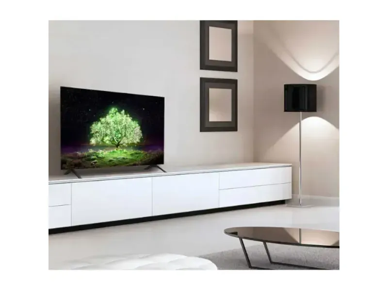 OLED48A1PSA8.JPG