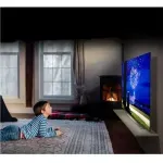 OLED48A1PSA10.JPG